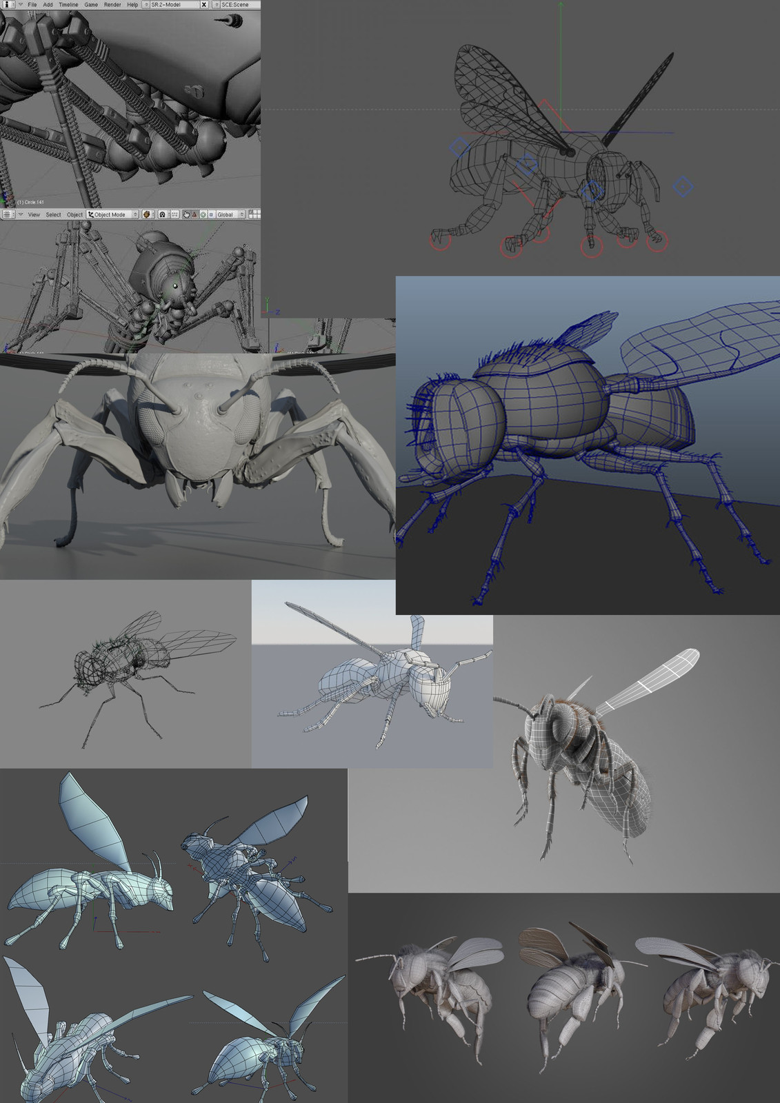 Verity Chow - 3D Modelling - Robotic Insect