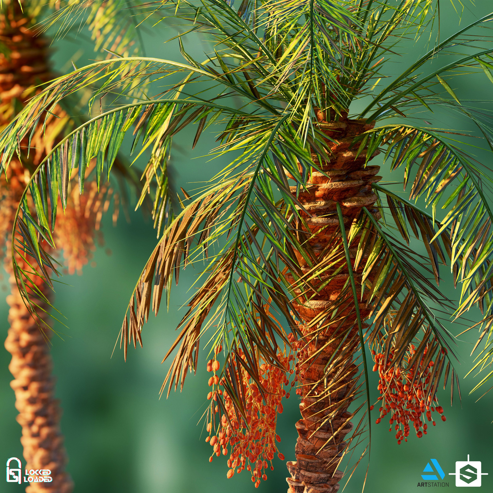 Gumroad - Palm Material + Palm Model Including SpeedTree Project & Marmoset Toolbag Scene