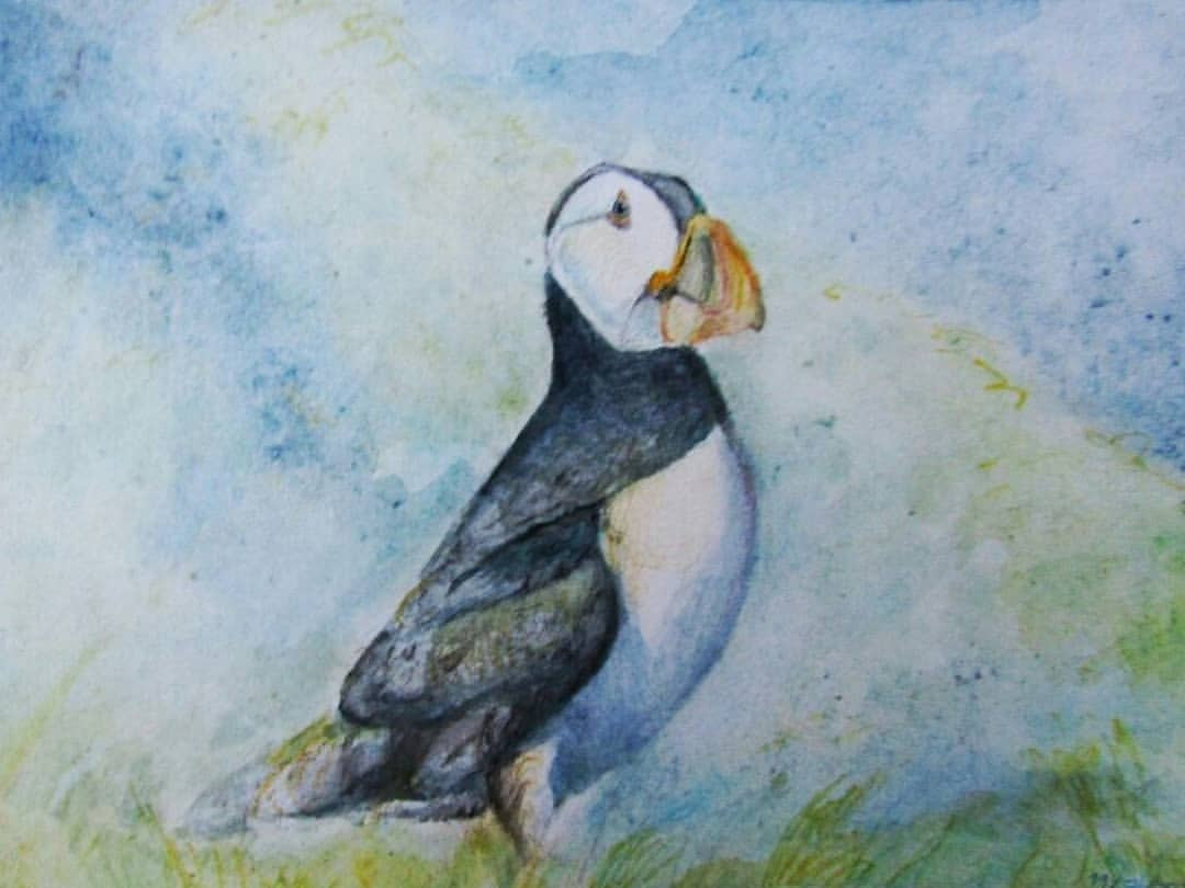 Artstation Watercolour Puffin Pablo Chamber