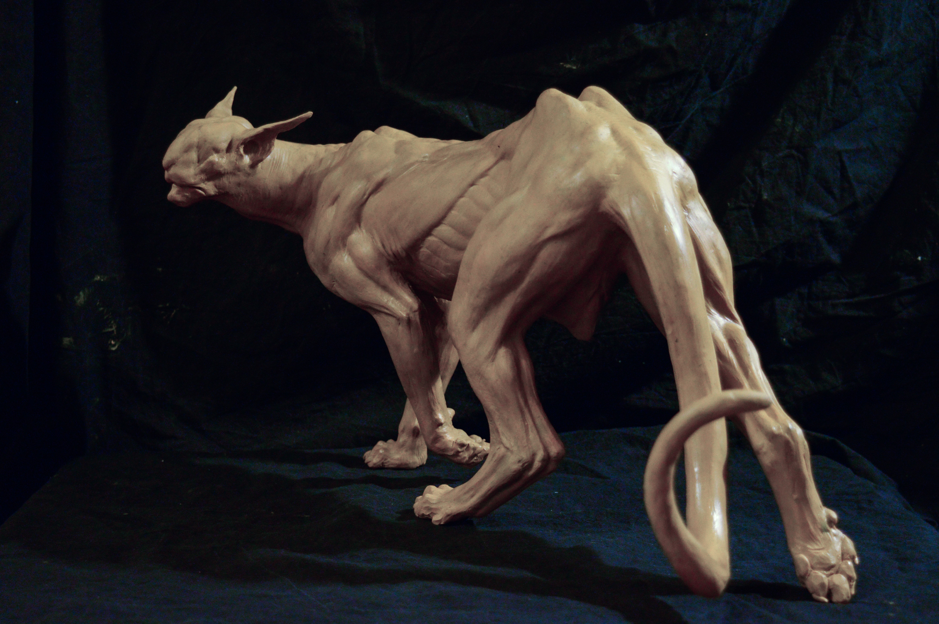 Мифические существа крыма. Пластичные животные. Кошка анатомия скульптура. Существо фигура из Дорс.