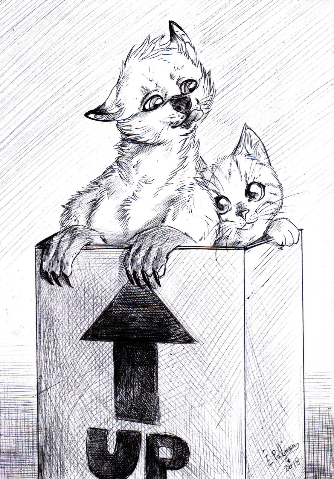 Box.