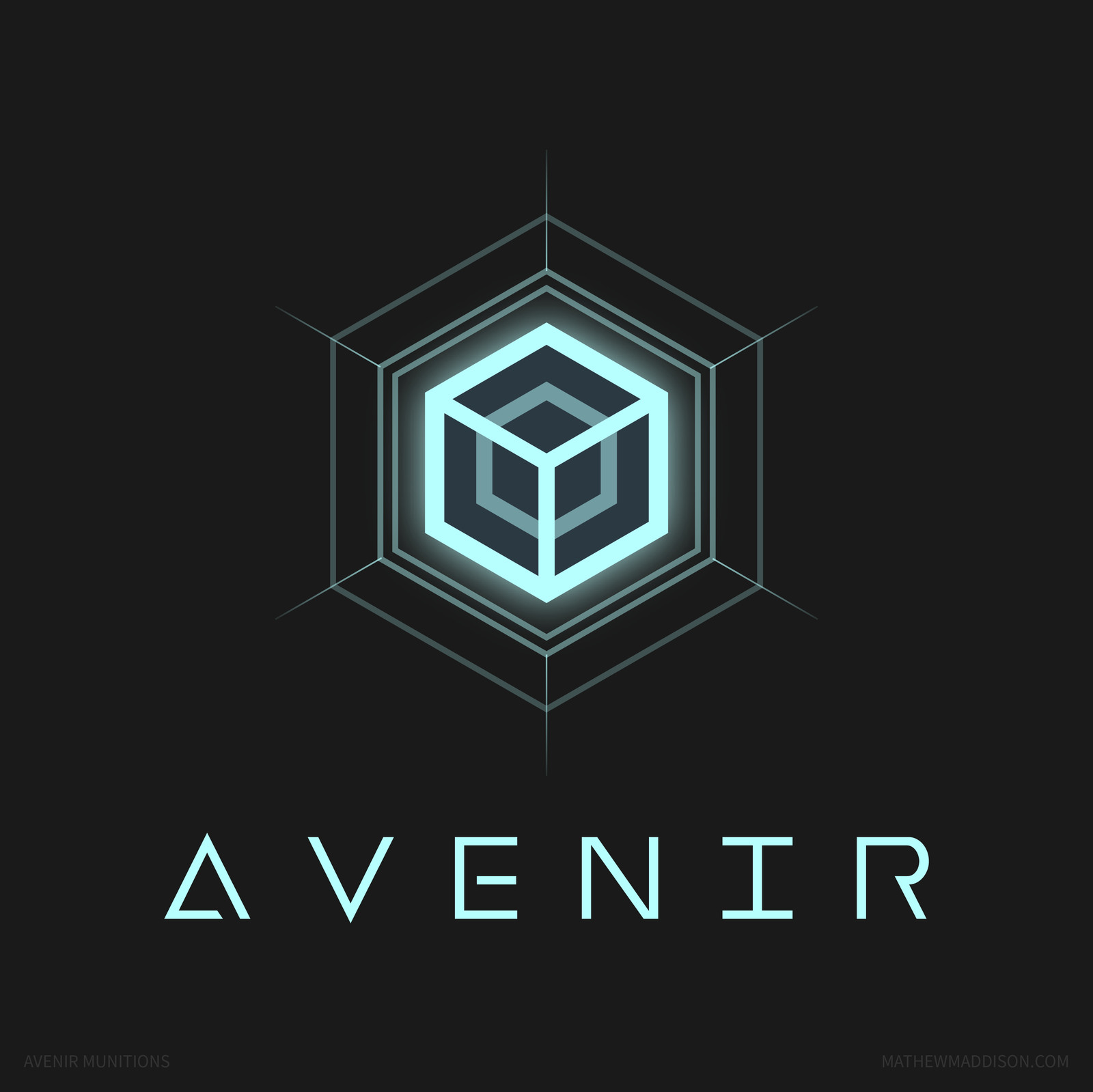 Avenir Inc.