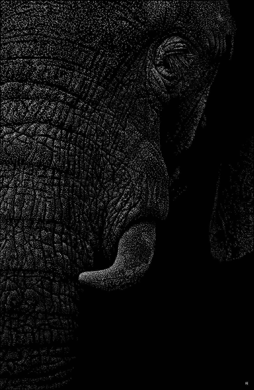 elephantidae
Digital scratchboard, dec. 2018

