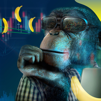 Sandy galabadaarachchi monkey2