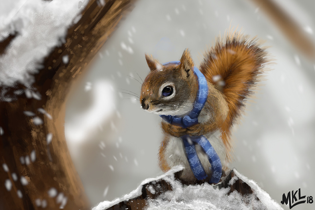 Winter squirrel