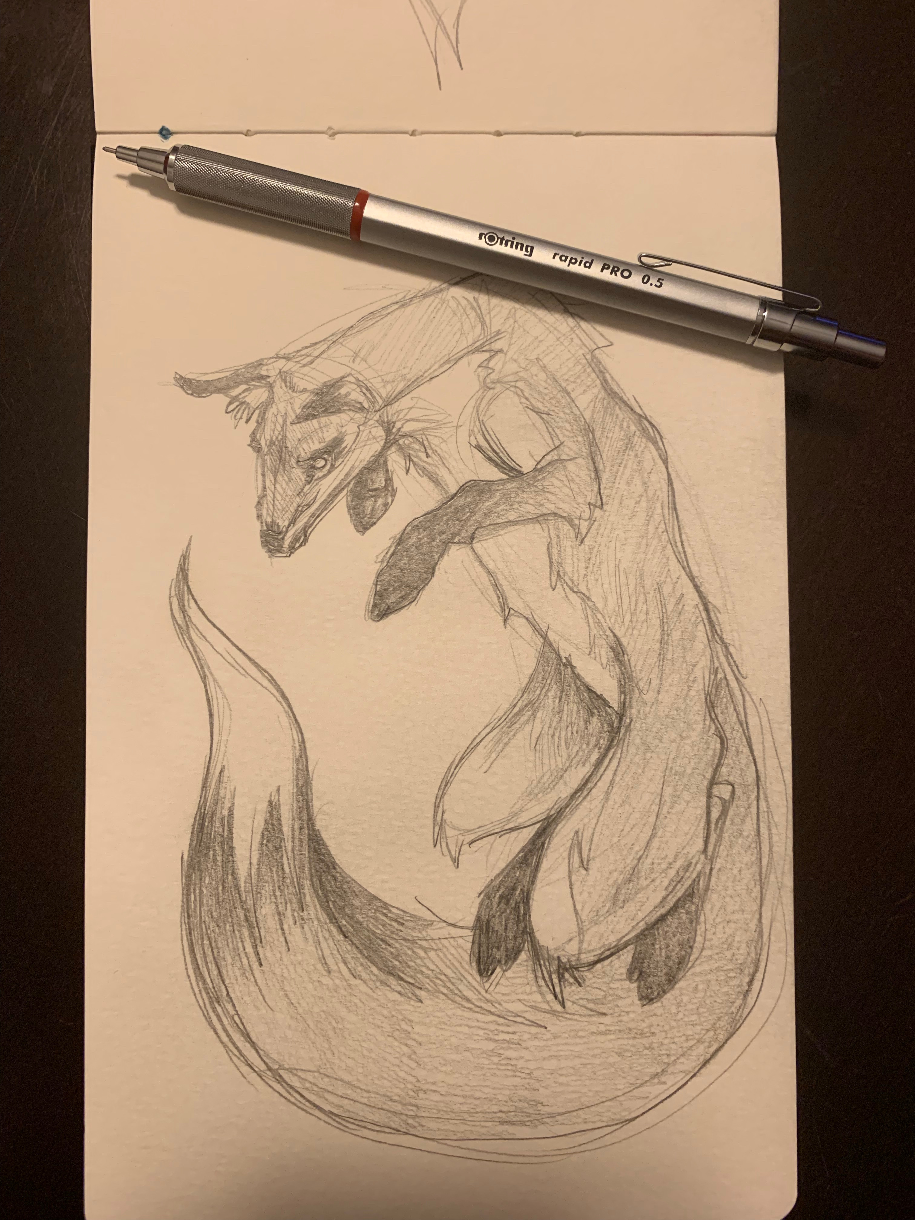 Artstation Fox Sketches Lea Evans