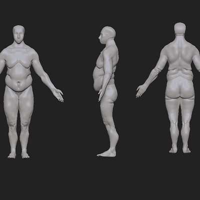 Anatomy Study