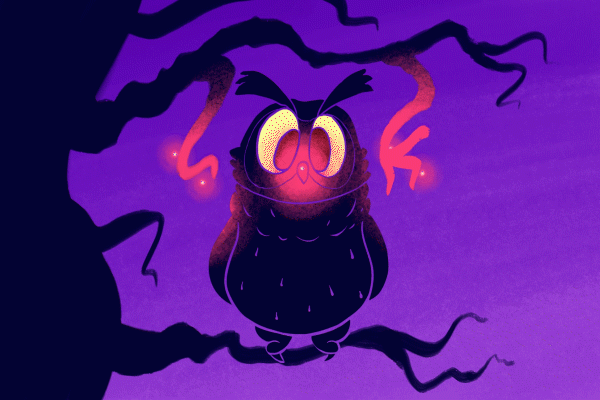 Owl Look (Animated)