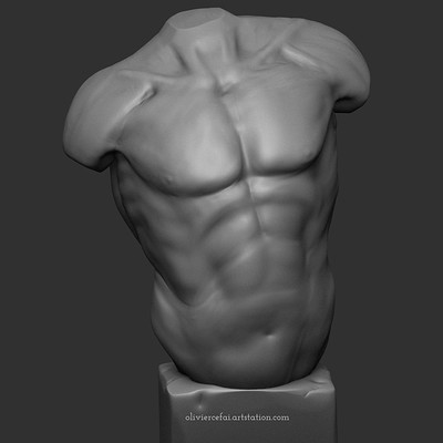 Olivier cefai torso anatomy study 01