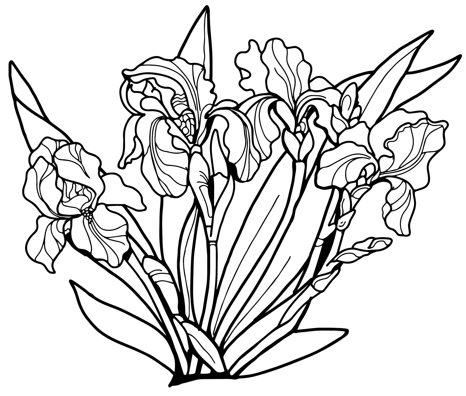 Artstation Art Line Coloring Pages For Adults In Doodling