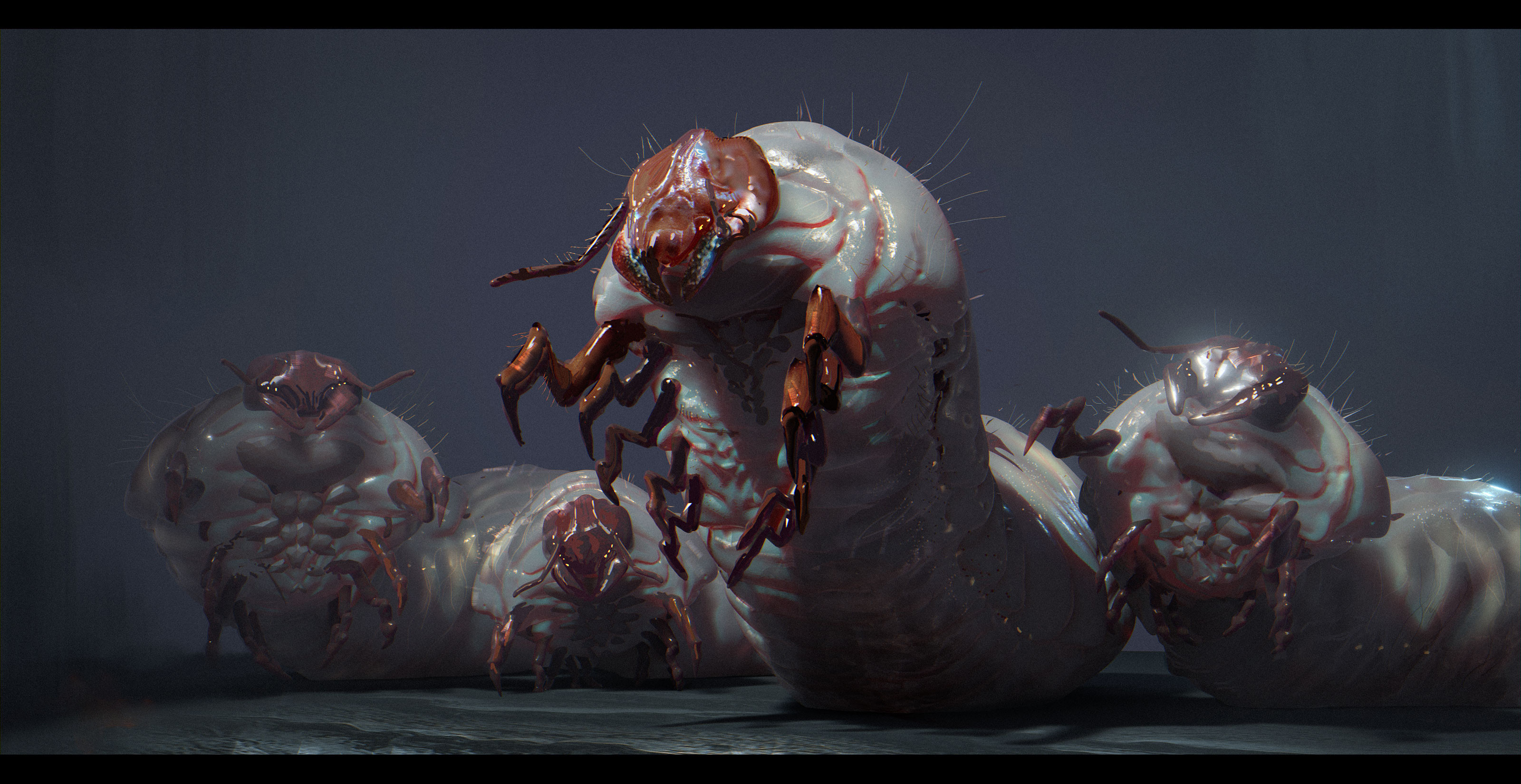 6. Larva