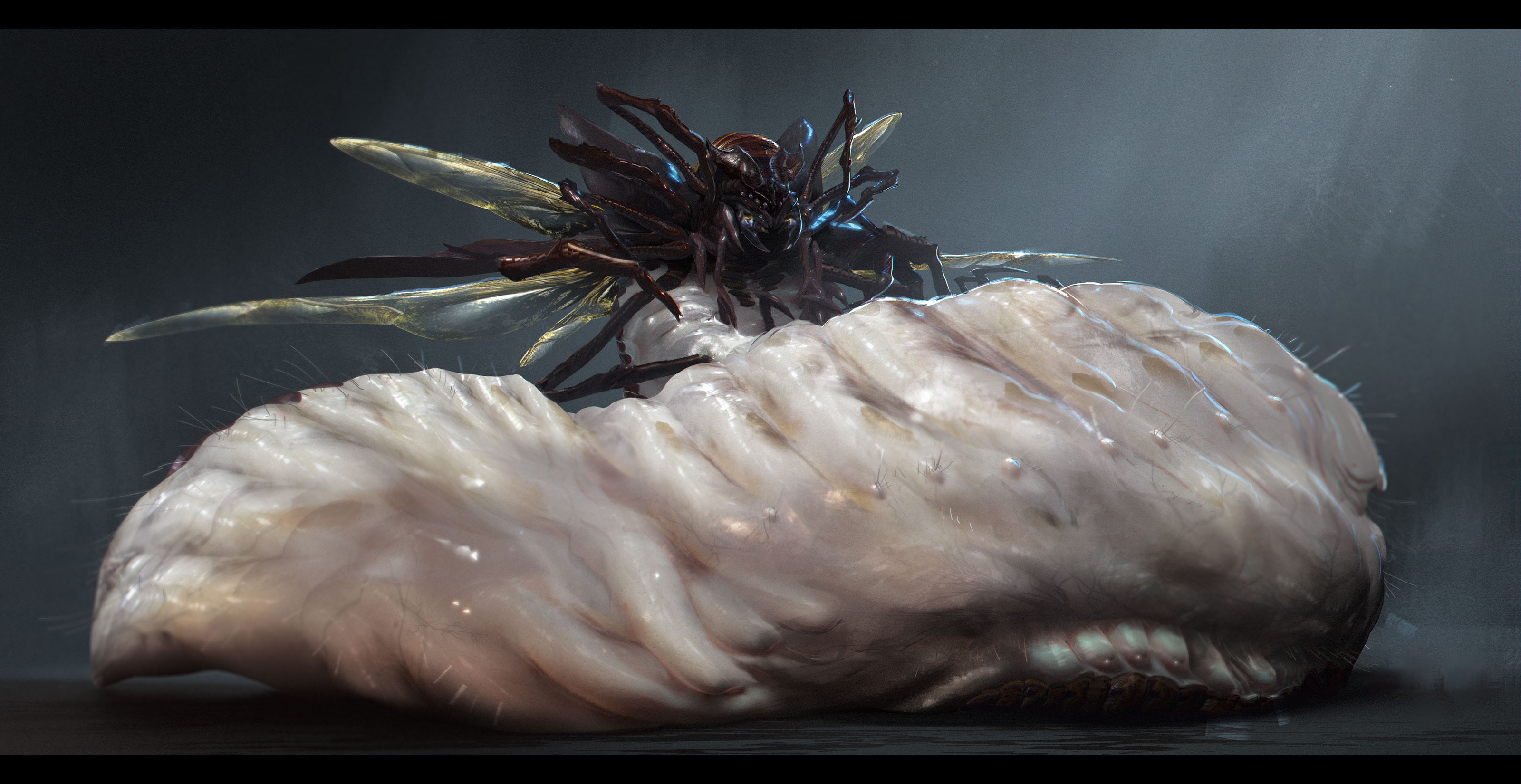 9. Insect's Queen