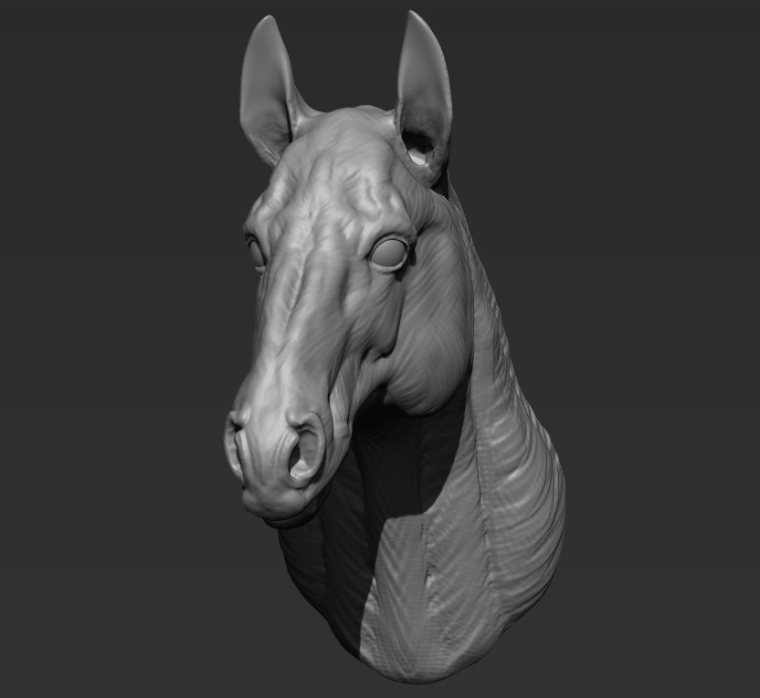 Horse sculpt.
