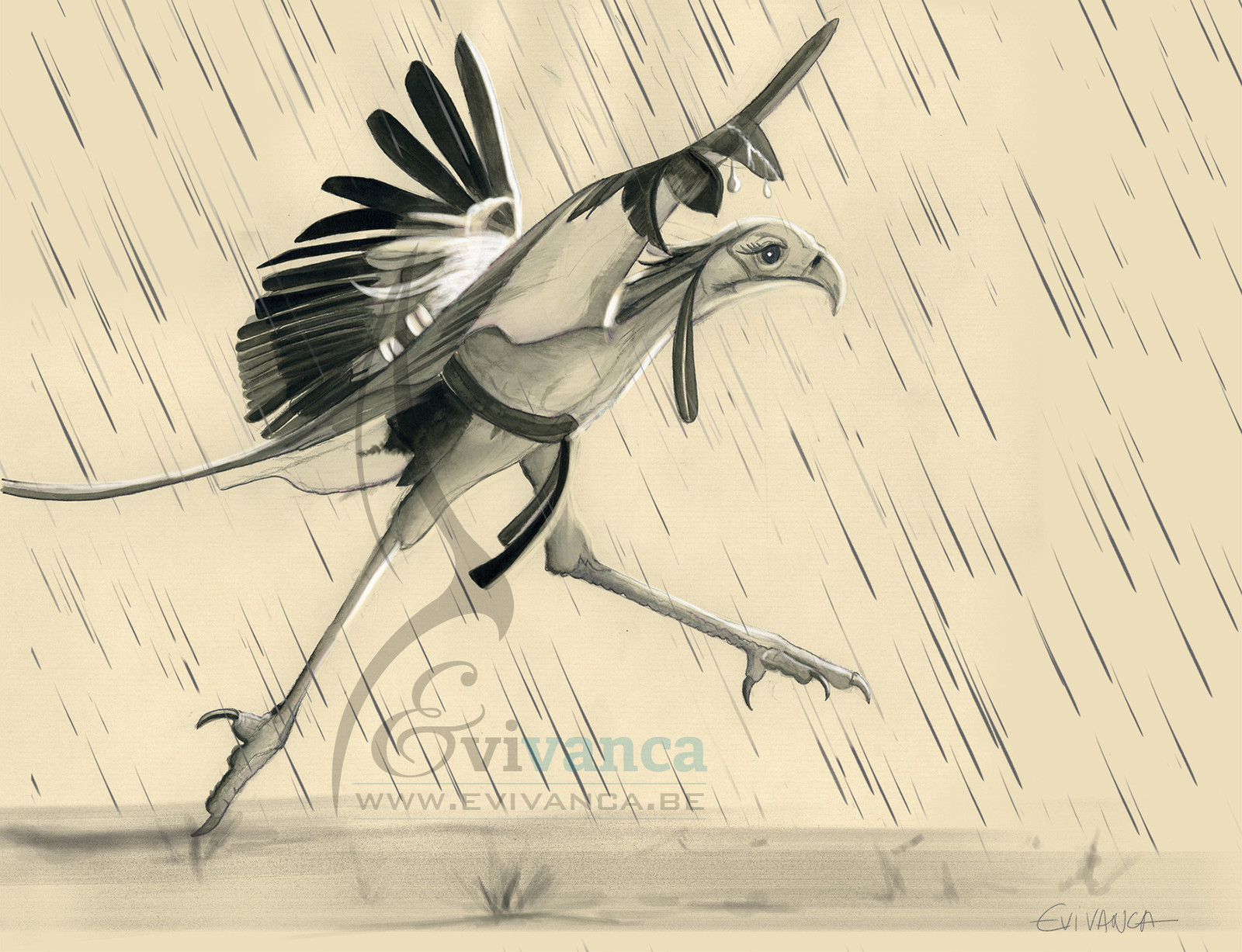 The long legs of a secretary bird! #inktober2017 #inktober