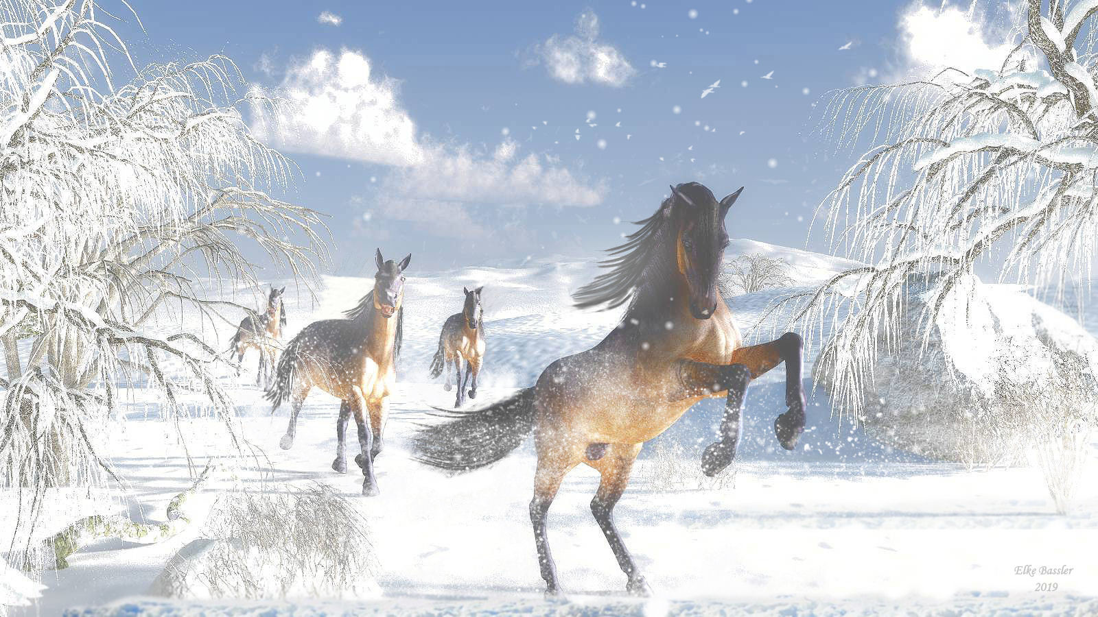 Elke Bassler Wild Horses In Winter