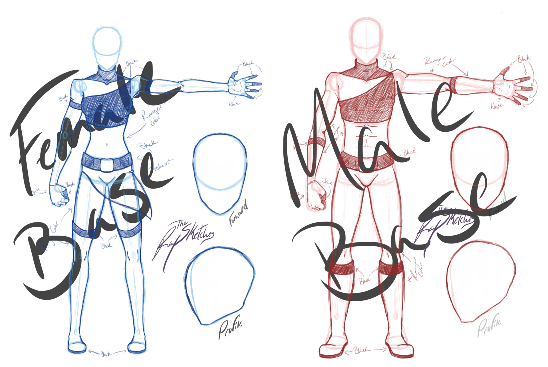 Male Drawing Bases / Sample base models for the drawing of the female