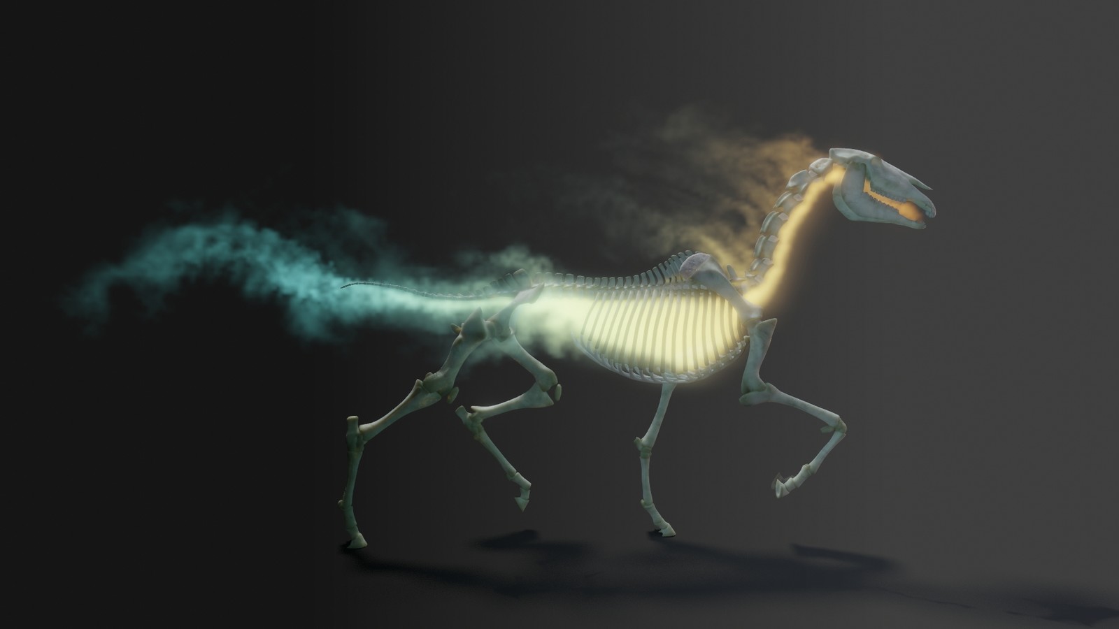 Horse skeleton fire comp