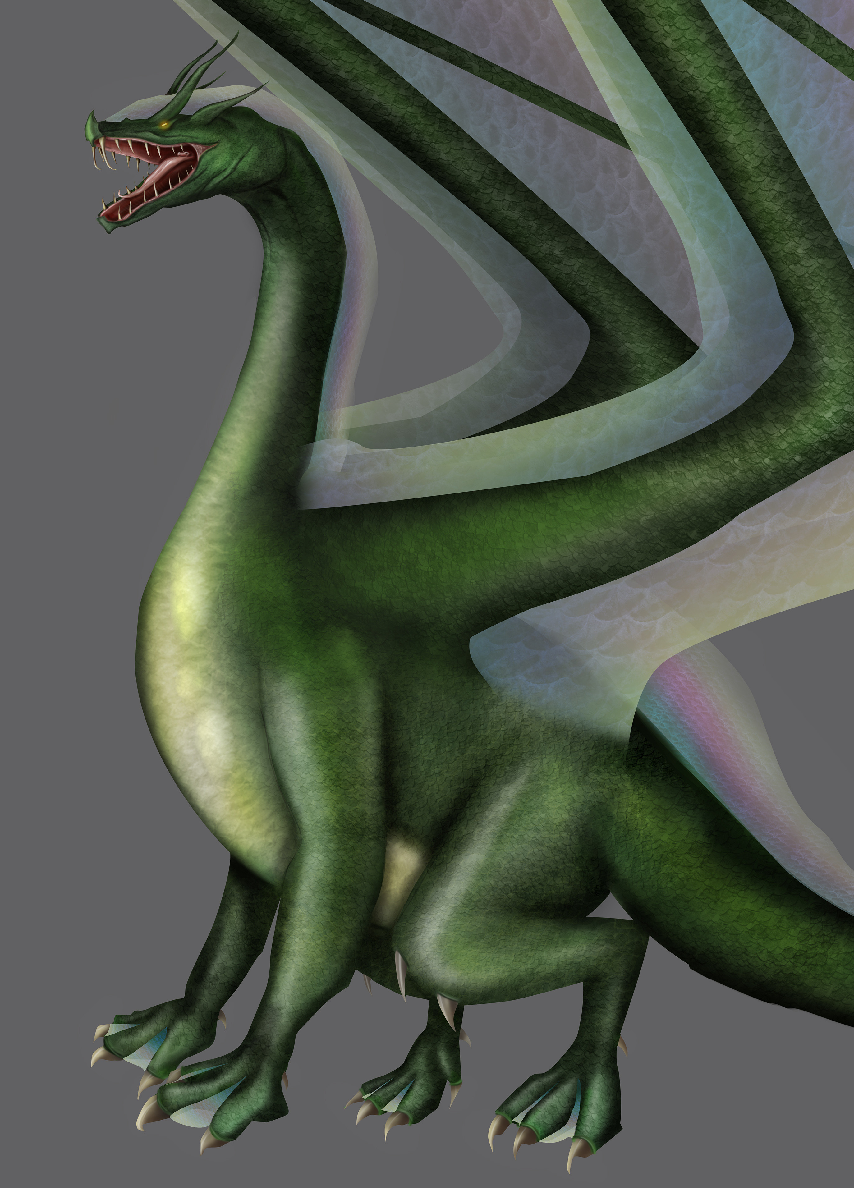 Cropped (body version)