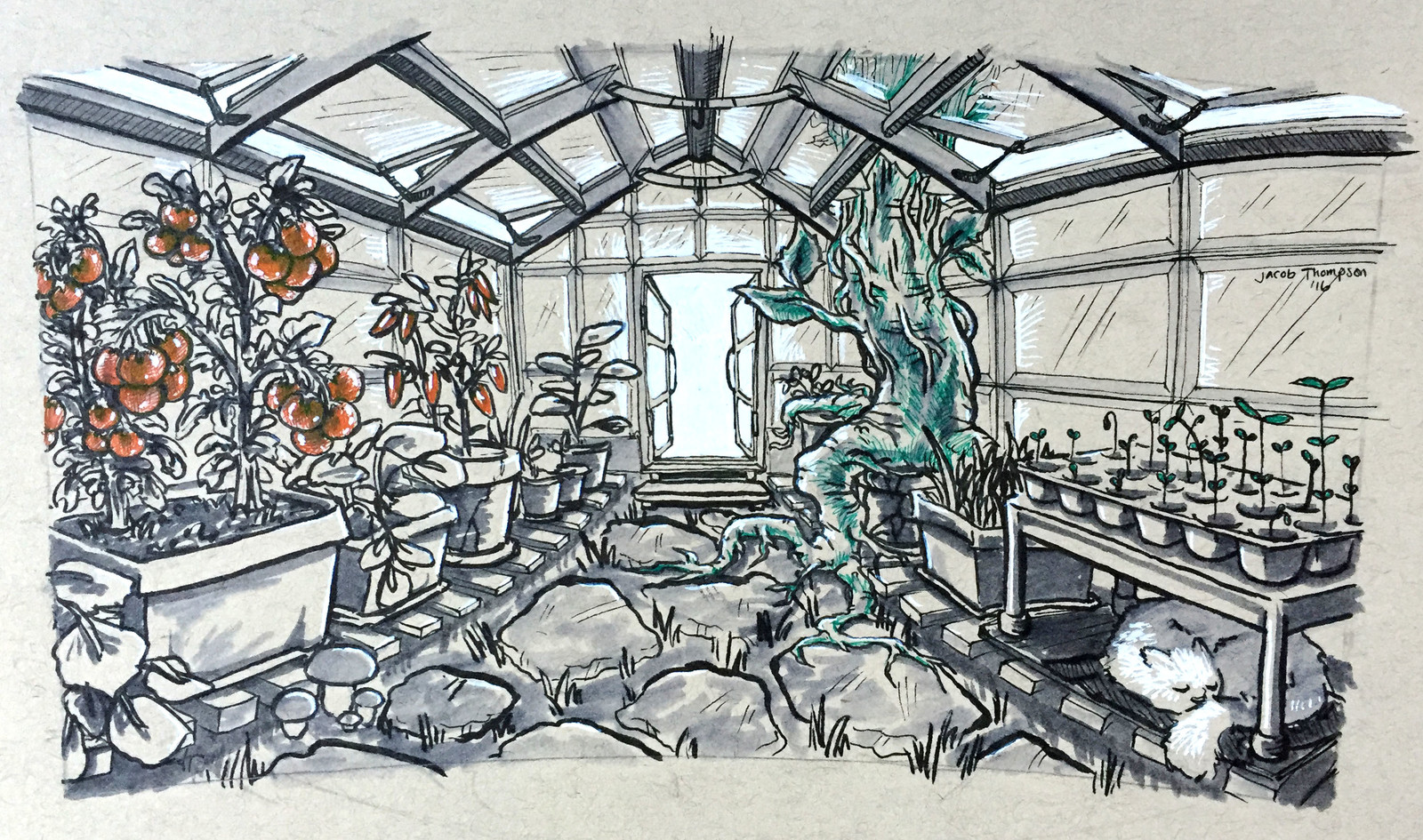 Greenhouse Wrap-around Cup
