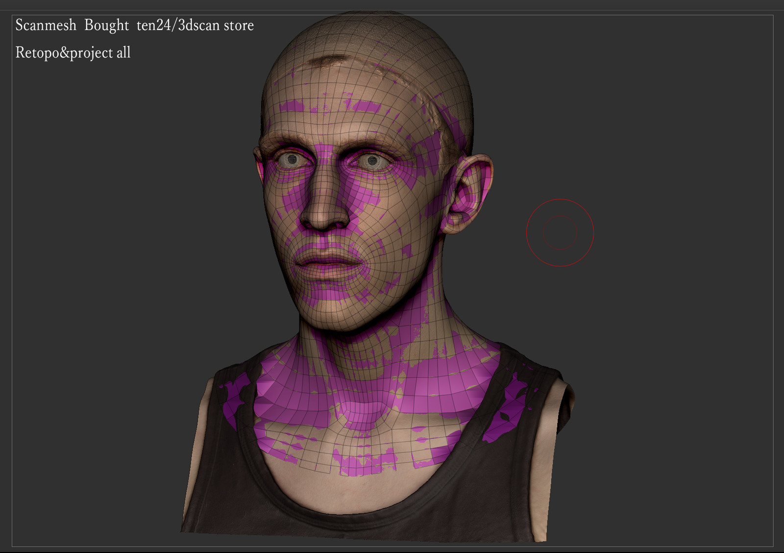 BaseScanData - ten24/3D Scan Store