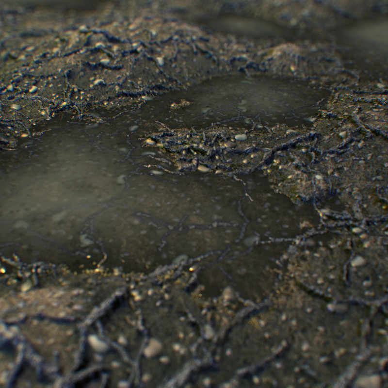 Muddy Soil