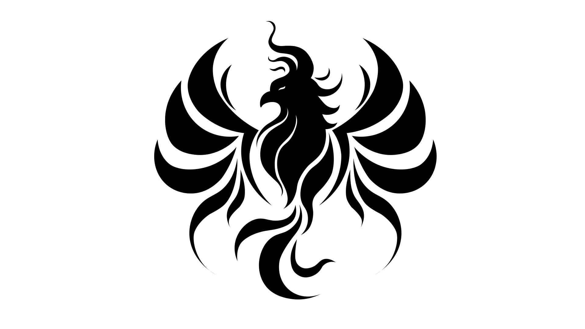 NikoNocturnal - Phoenix