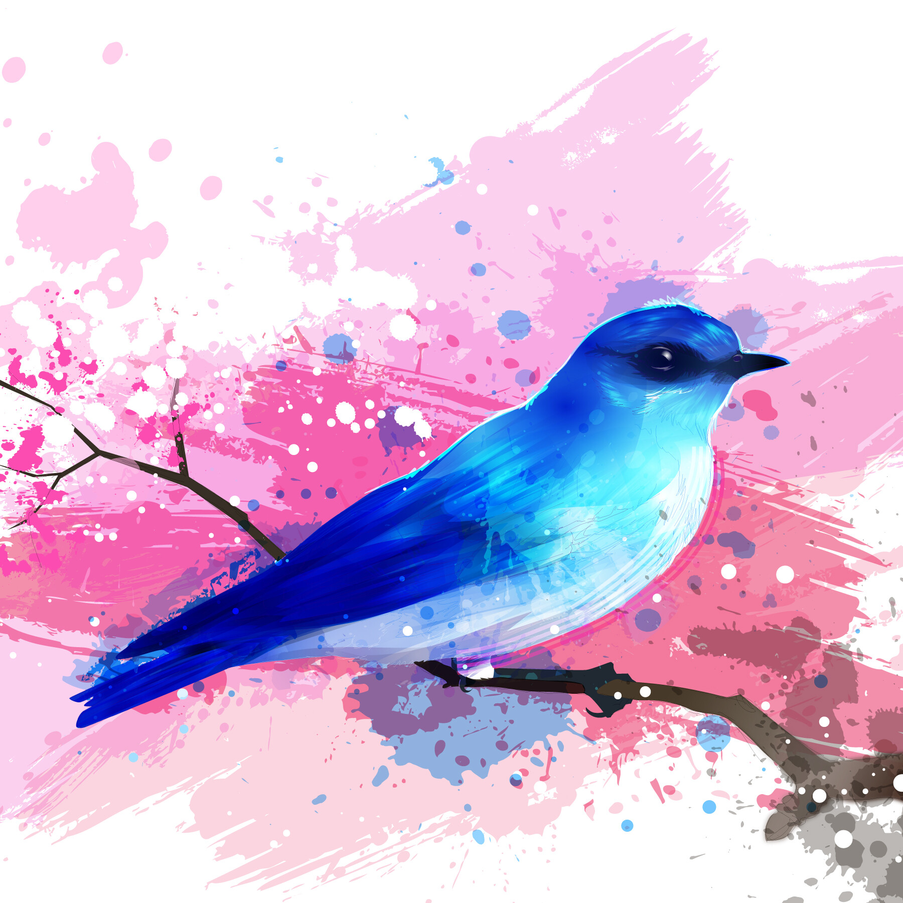 Artstation Adobe Illustrator Cc 2018 Painting Bluebird 2019 Brenda Bennett