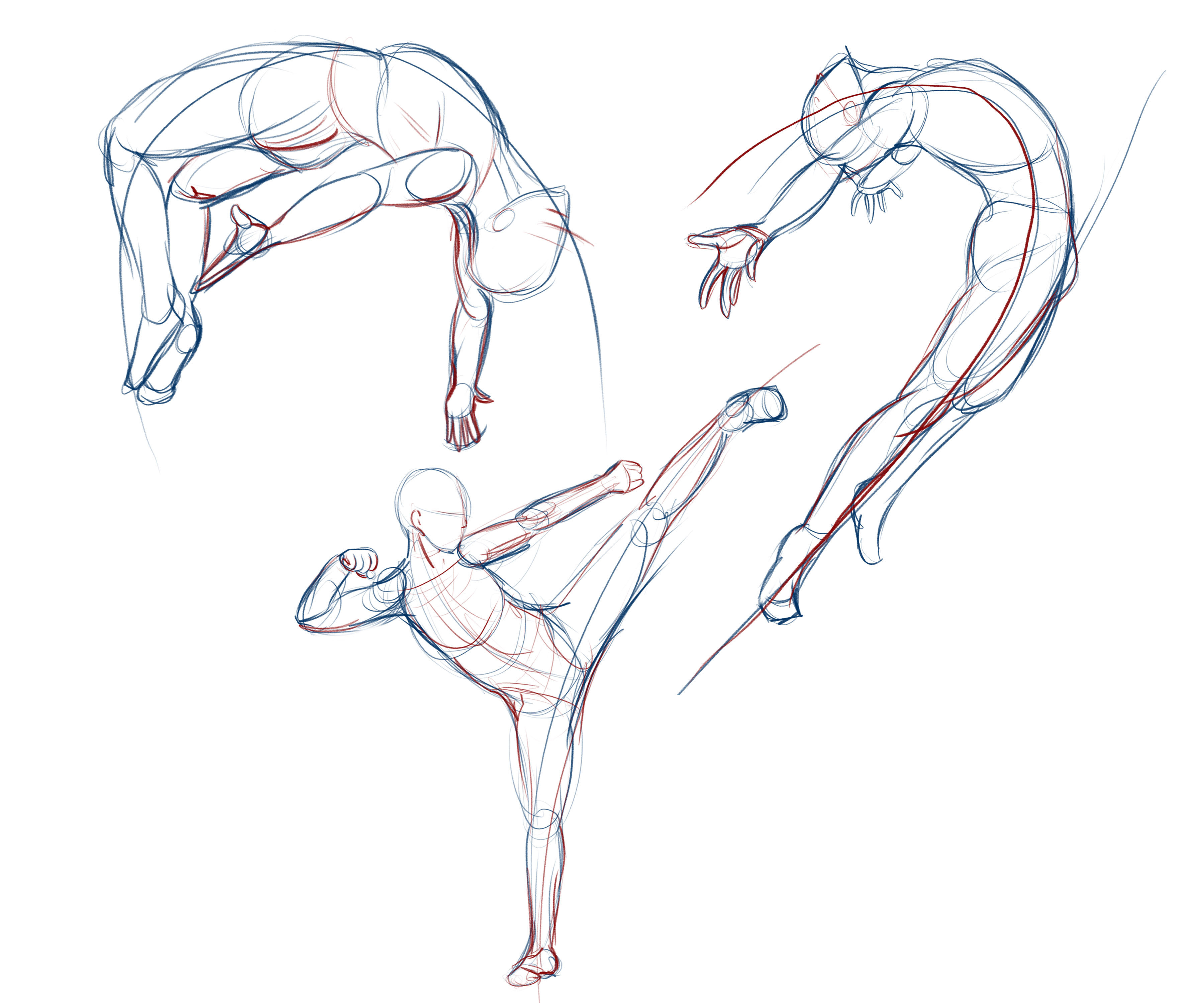 Dynamic Martial Artist in Dramatic Pose | Original Artwork for Martial Arts  Lovers