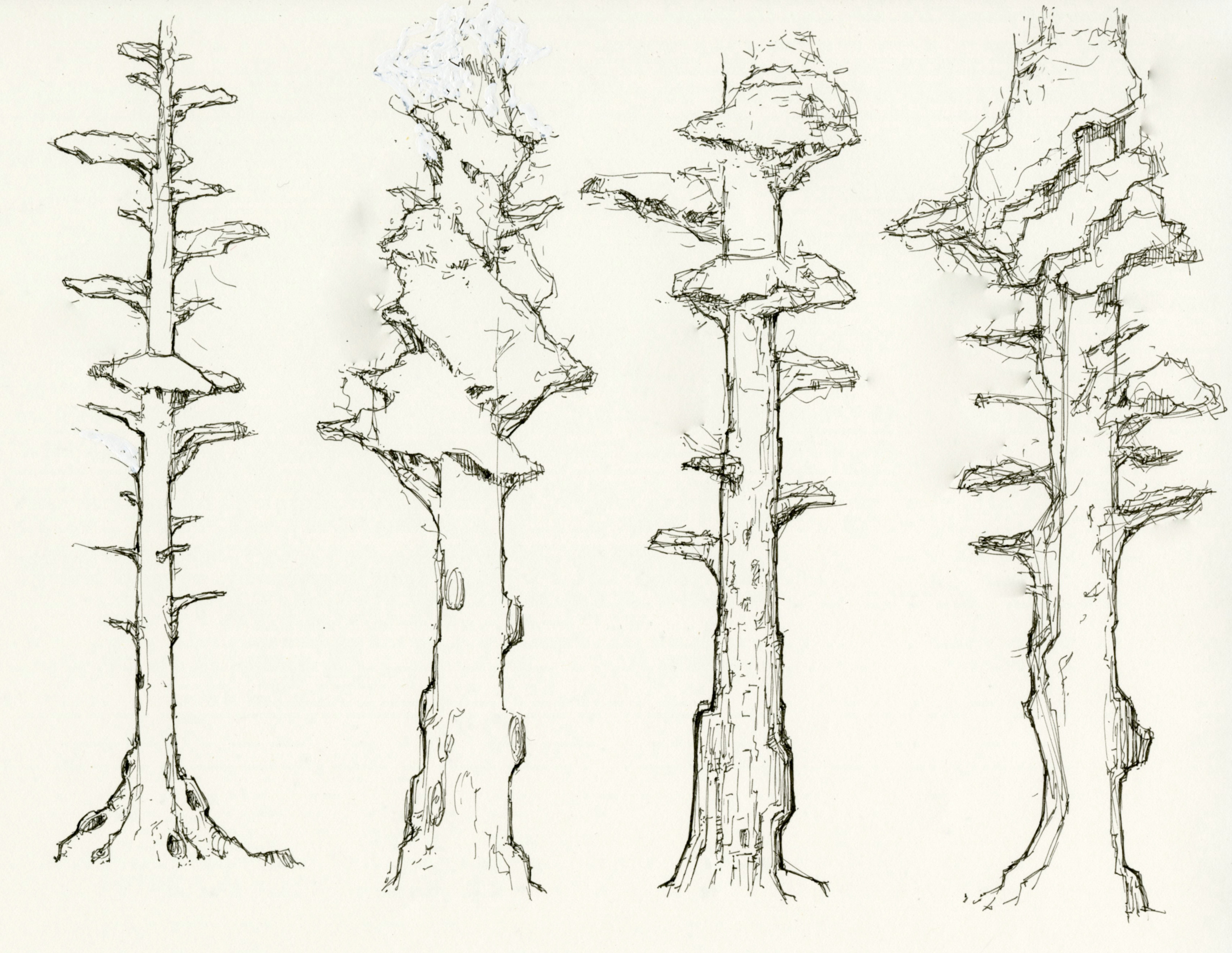 Trees ideations | Pen Sketch