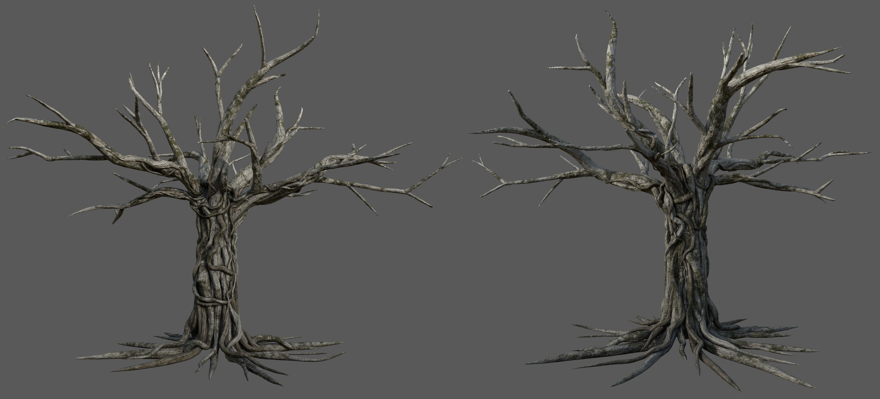 The Mugumo tree modeling and texturing. Its roots are straight in order to be rigged and animated.