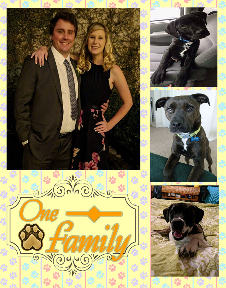 One Happy Family