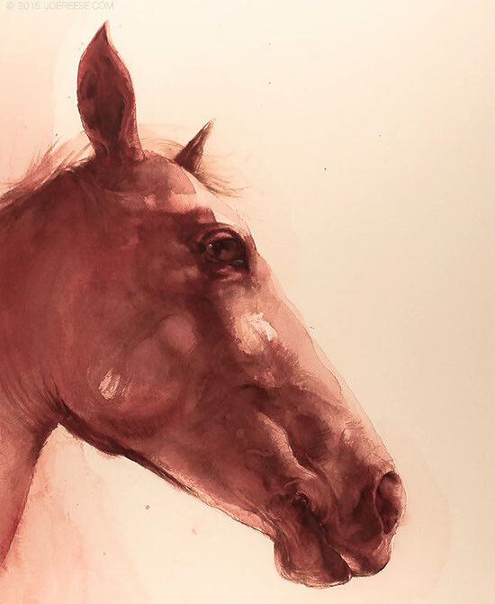 Inkwash Horse Profile