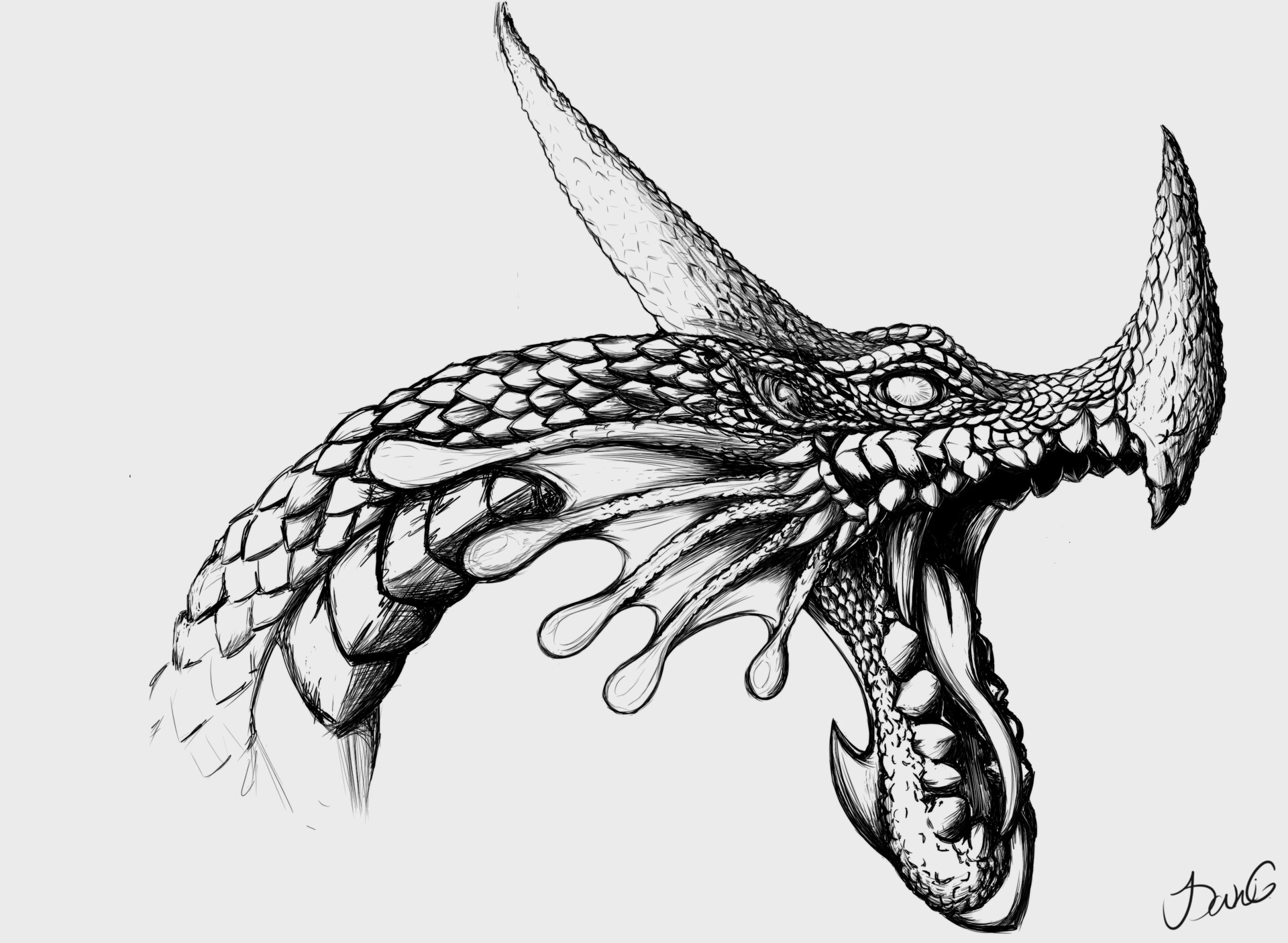 Dani Gerlach Detailed Water Dragon Bust illustration