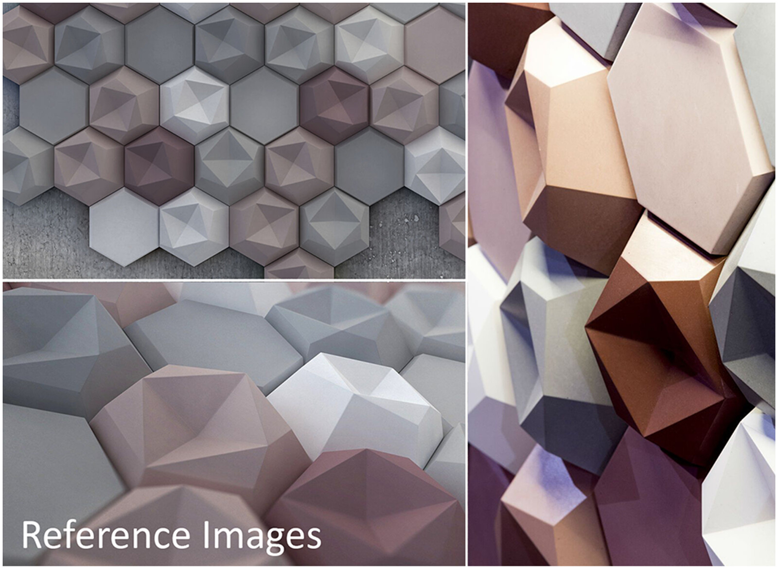 Reference Images