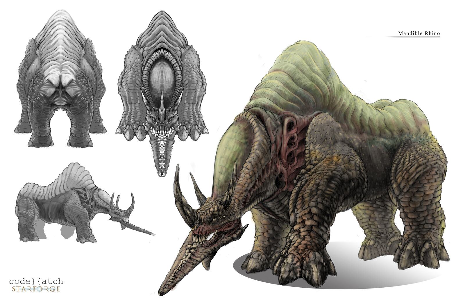 Mandible Rhino