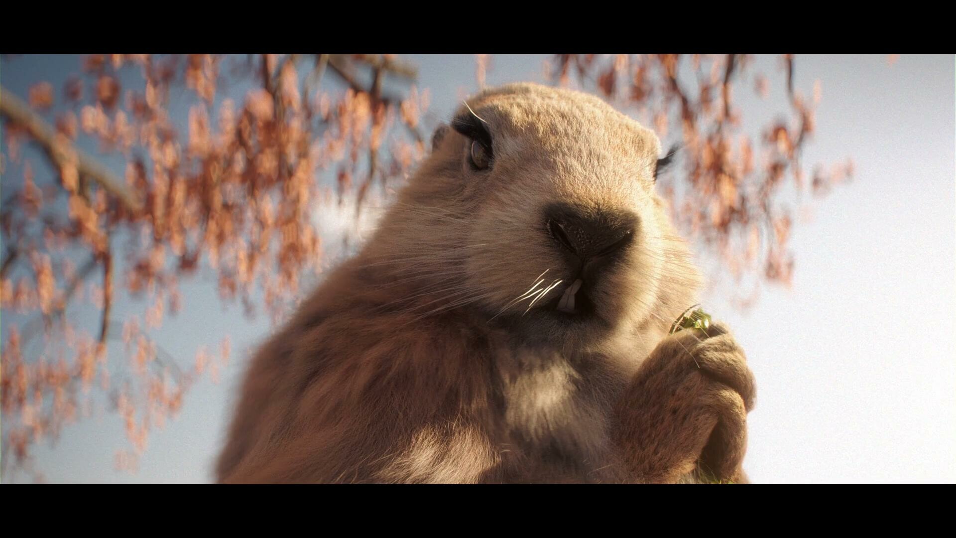 Toto Dost Huawei Mate Marmots Tvc 18