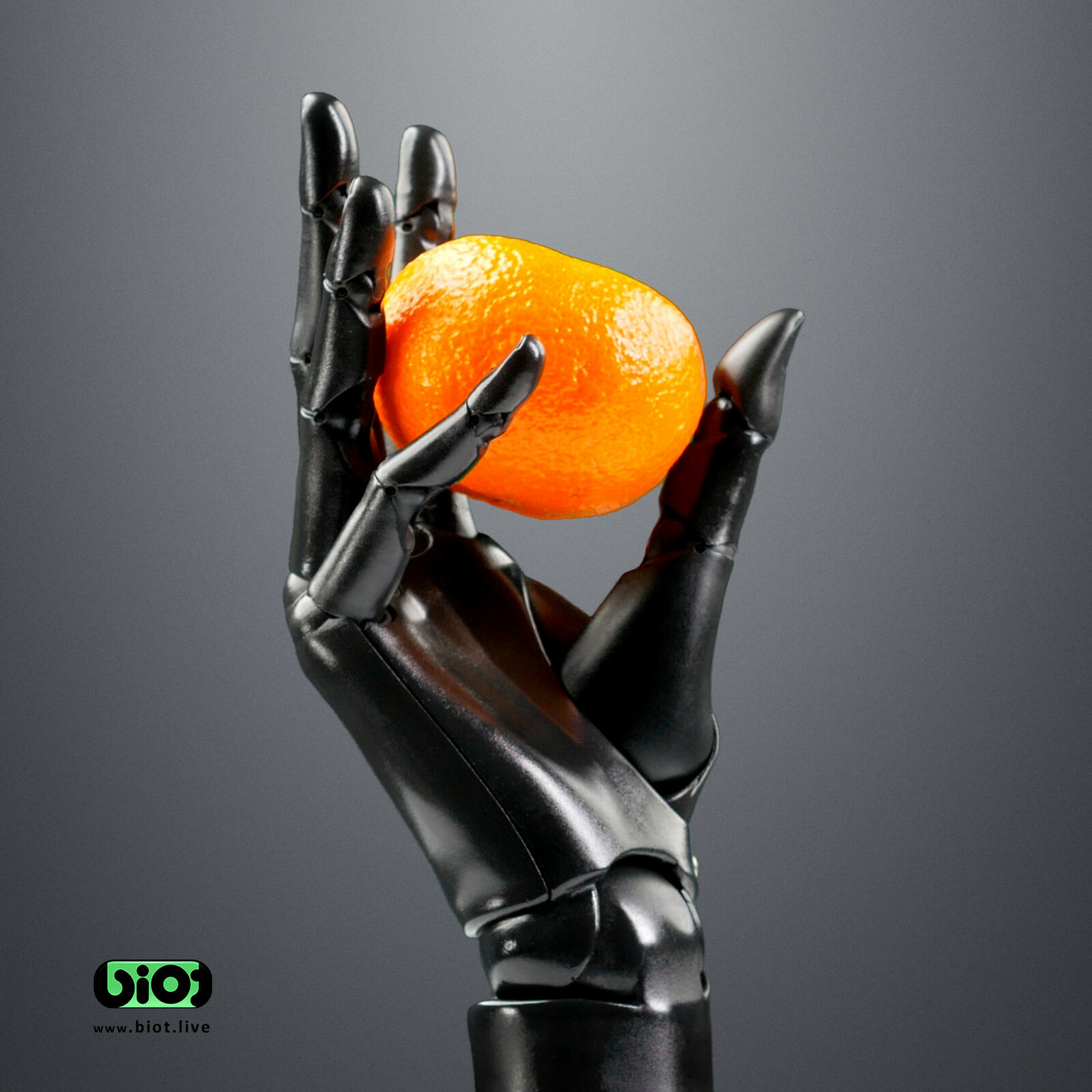 Biot Hand with orange