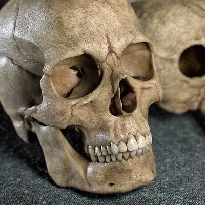 Tom newbury skull c01