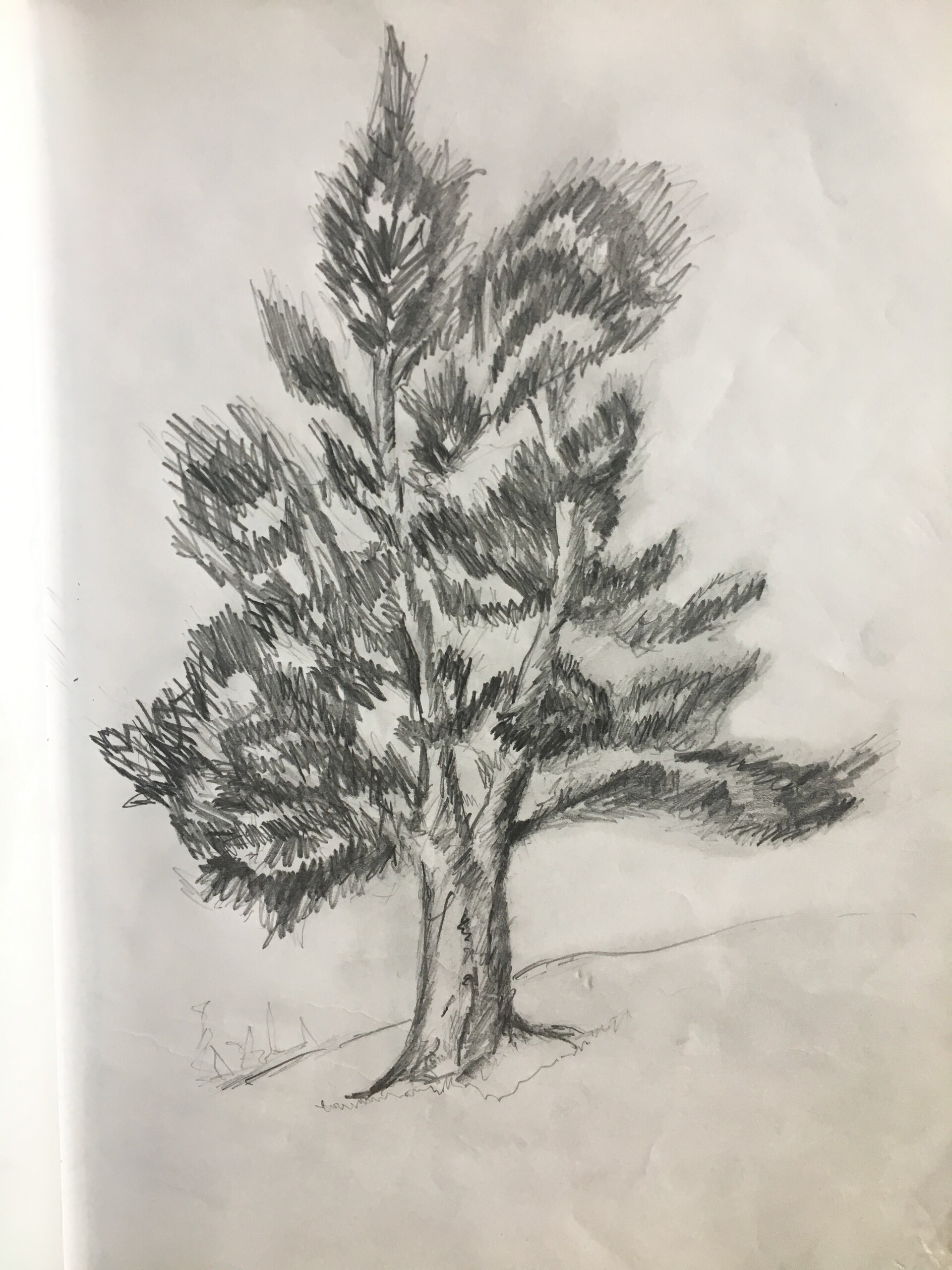 Sketching in nature - drawing for beginners