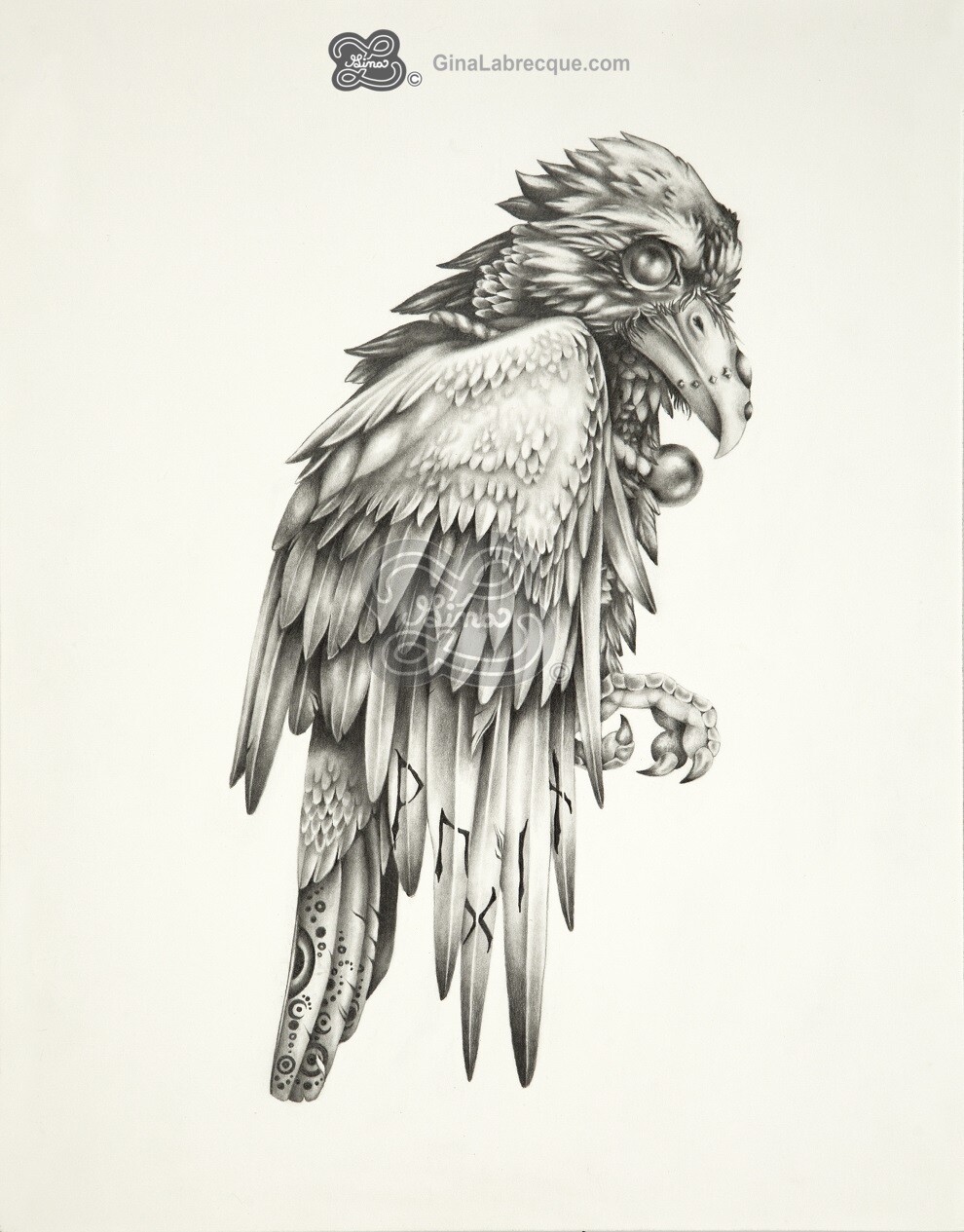 Gina Labrecque Odin's Ravens