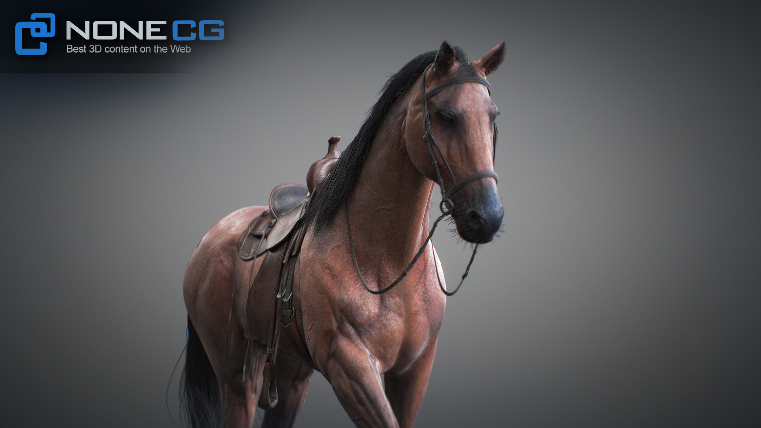 3D Horse Animated by NoneCG