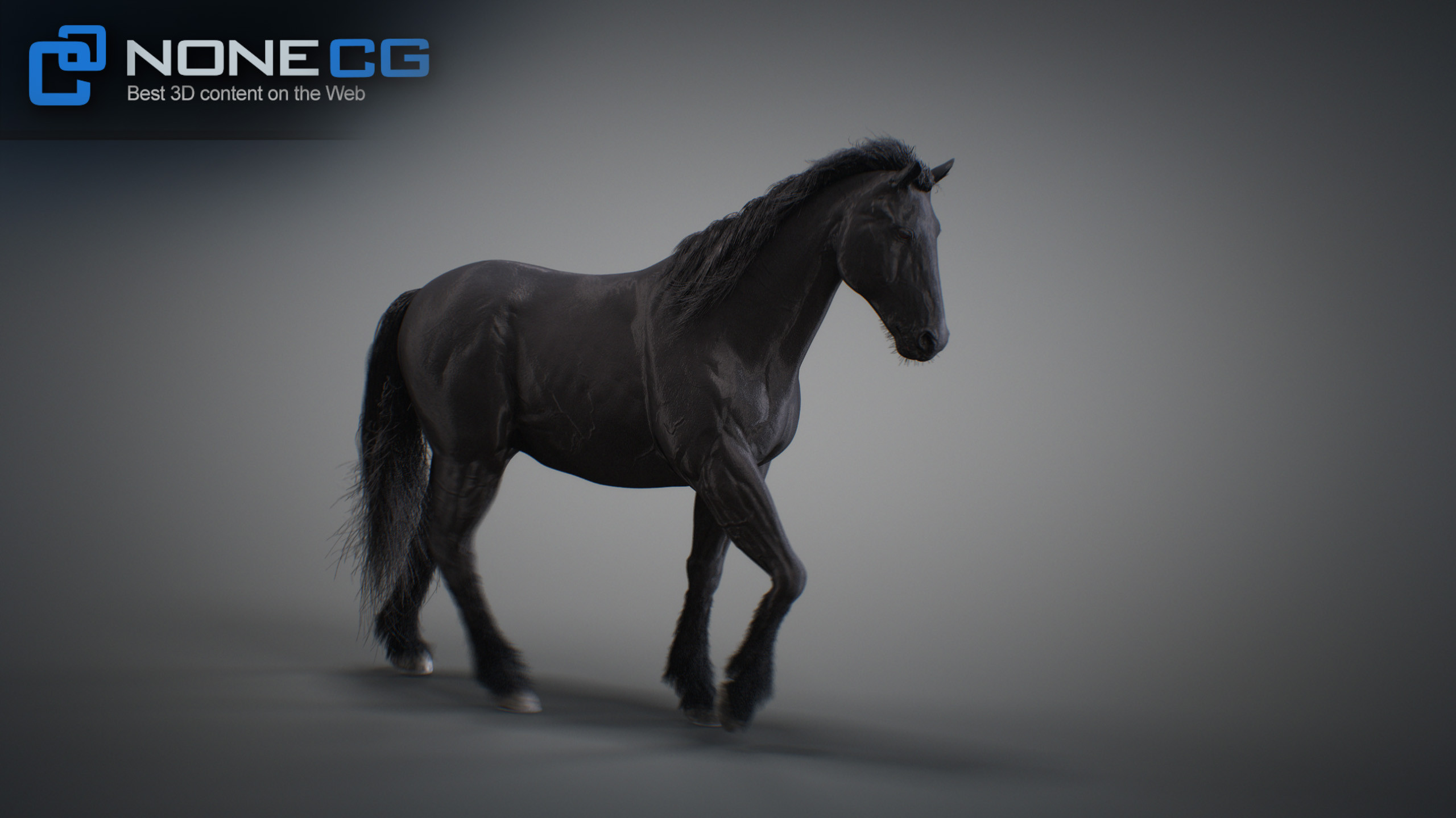 3D Horse Animated by NoneCG