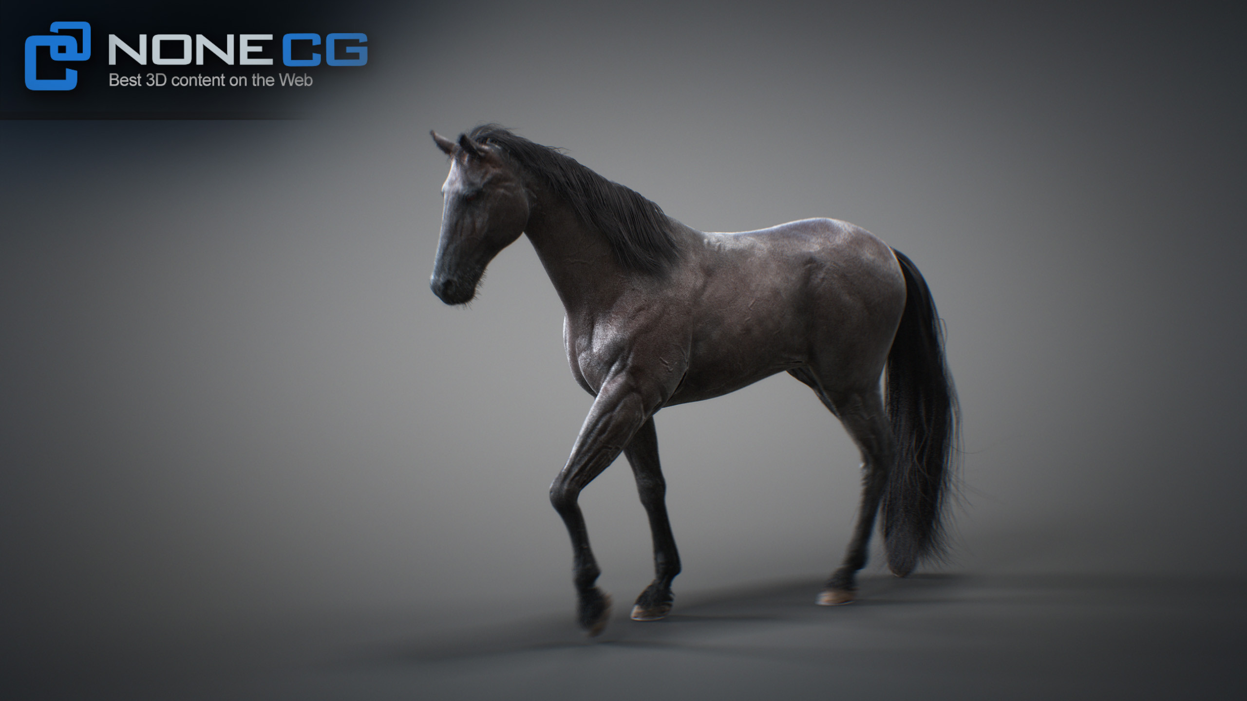 3D Horse Animated by NoneCG