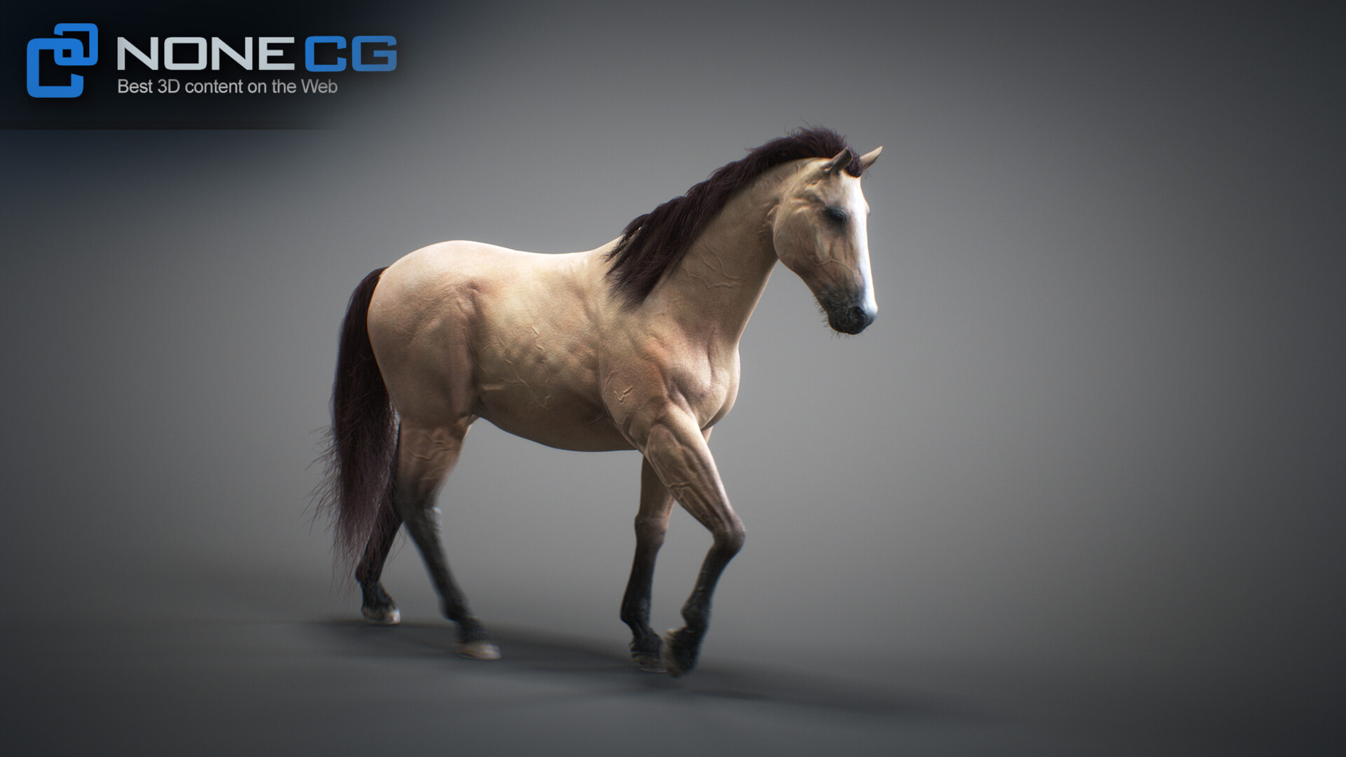 ArtStation - Animated 3D Horses - 3dsmax