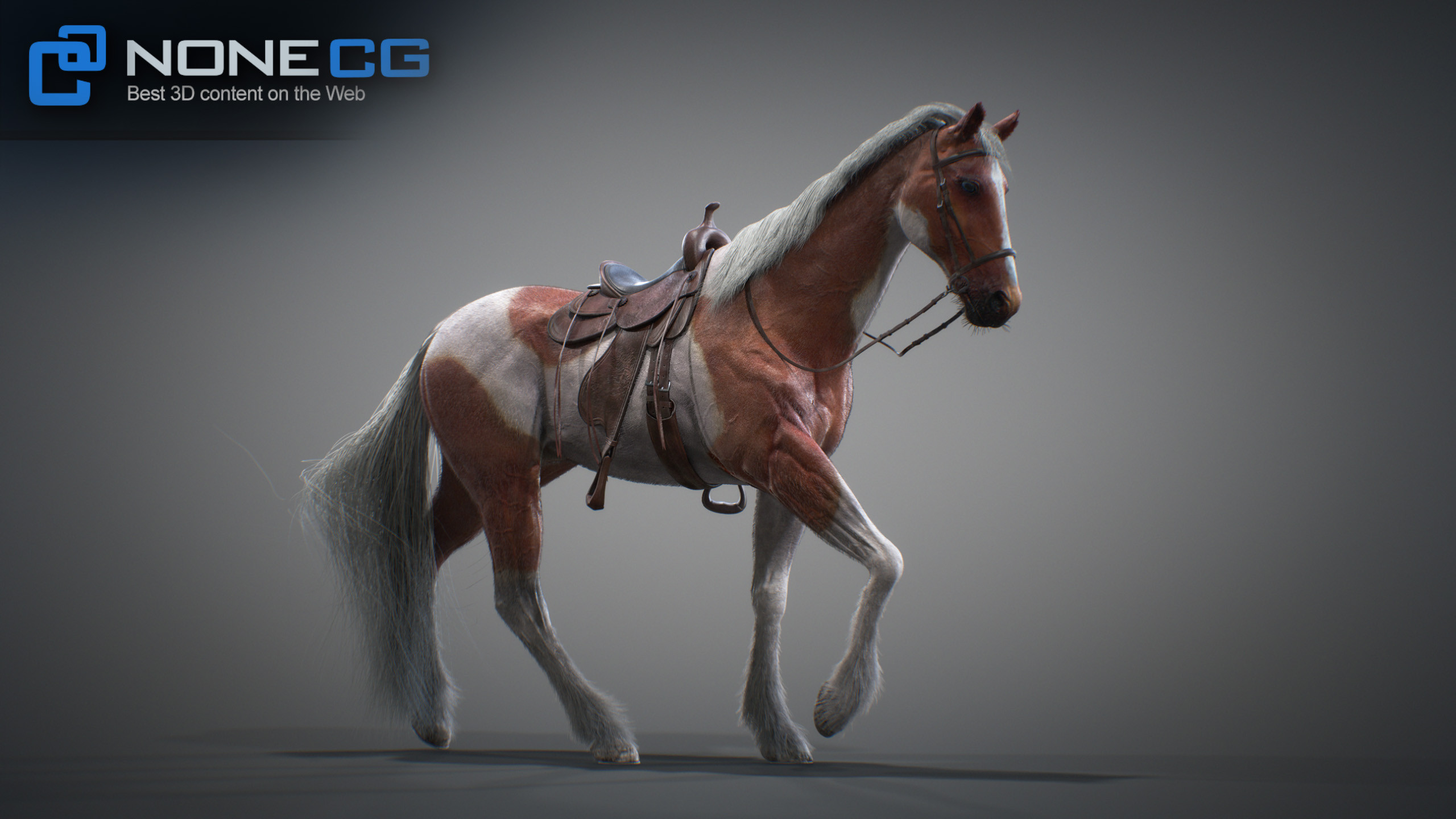 3D Horse Animated by NoneCG
