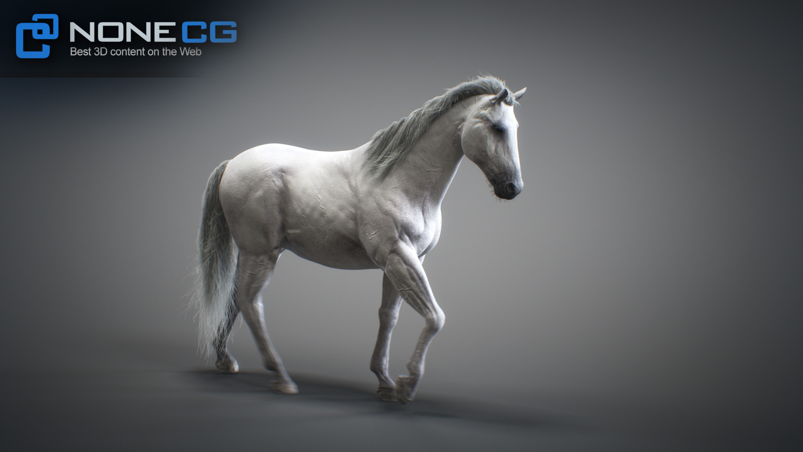 3D Horse Animated by NoneCG