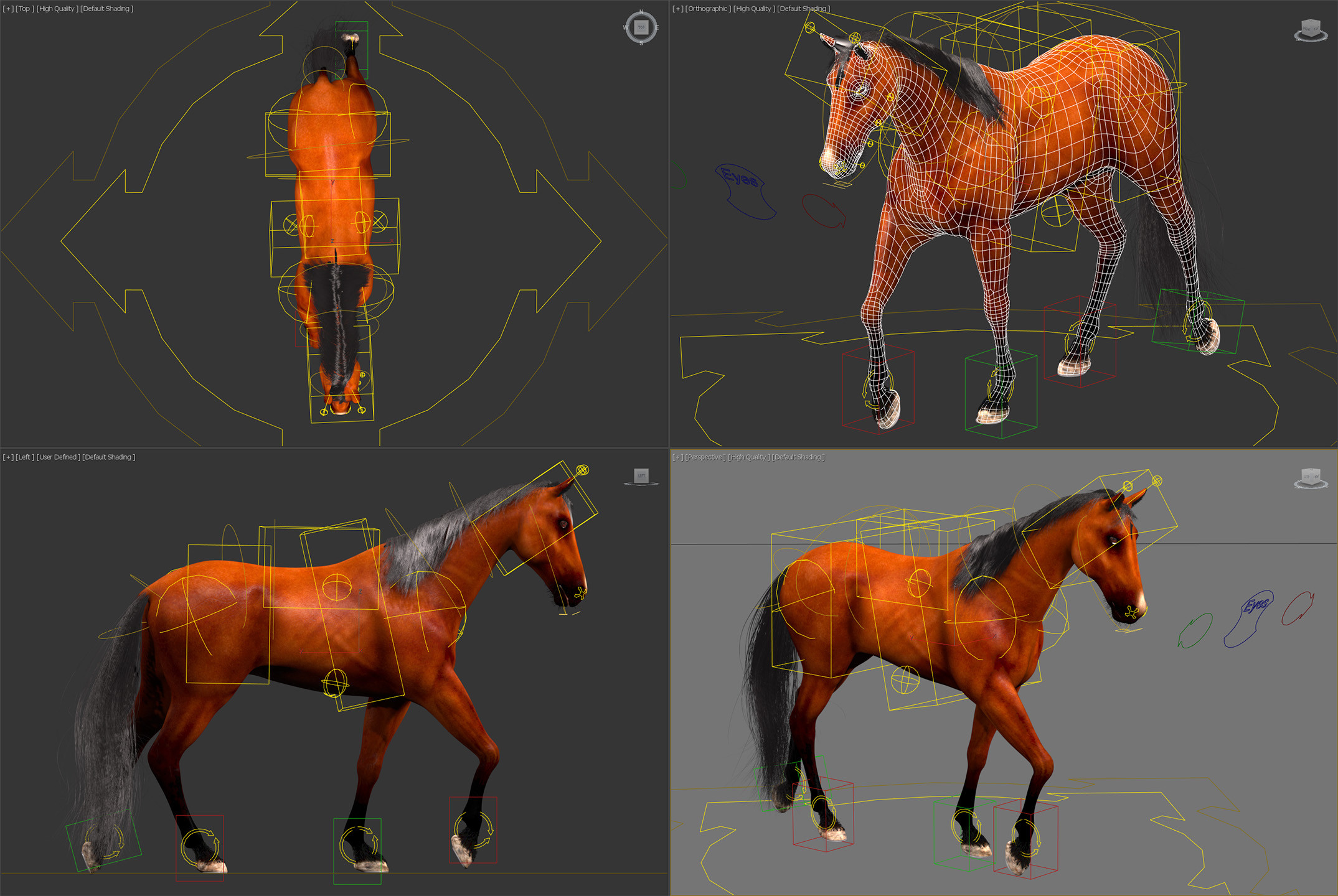 3D Horse Animated by NoneCG