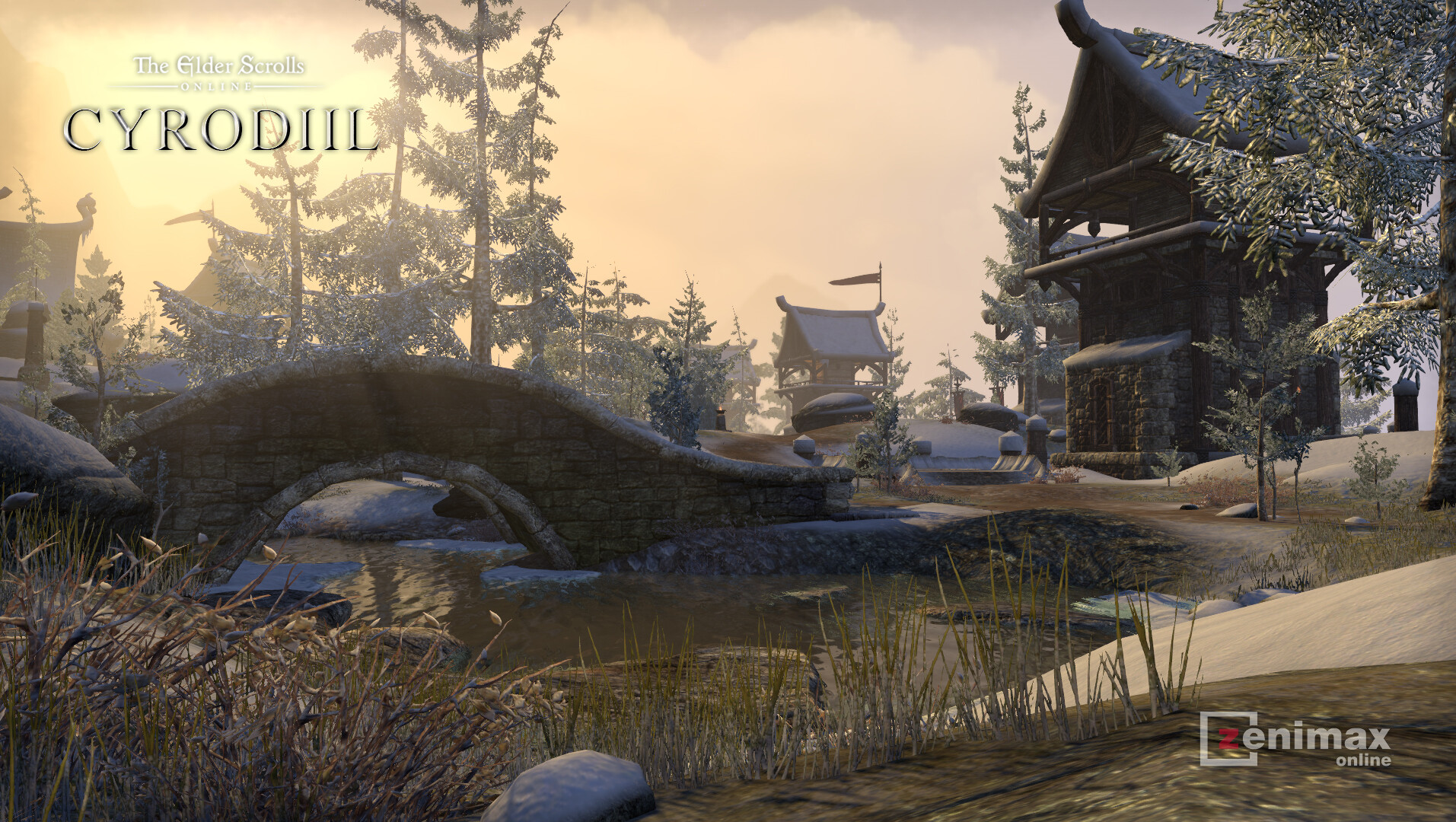 ArtStation Elder Scrolls Online Cyrodiil