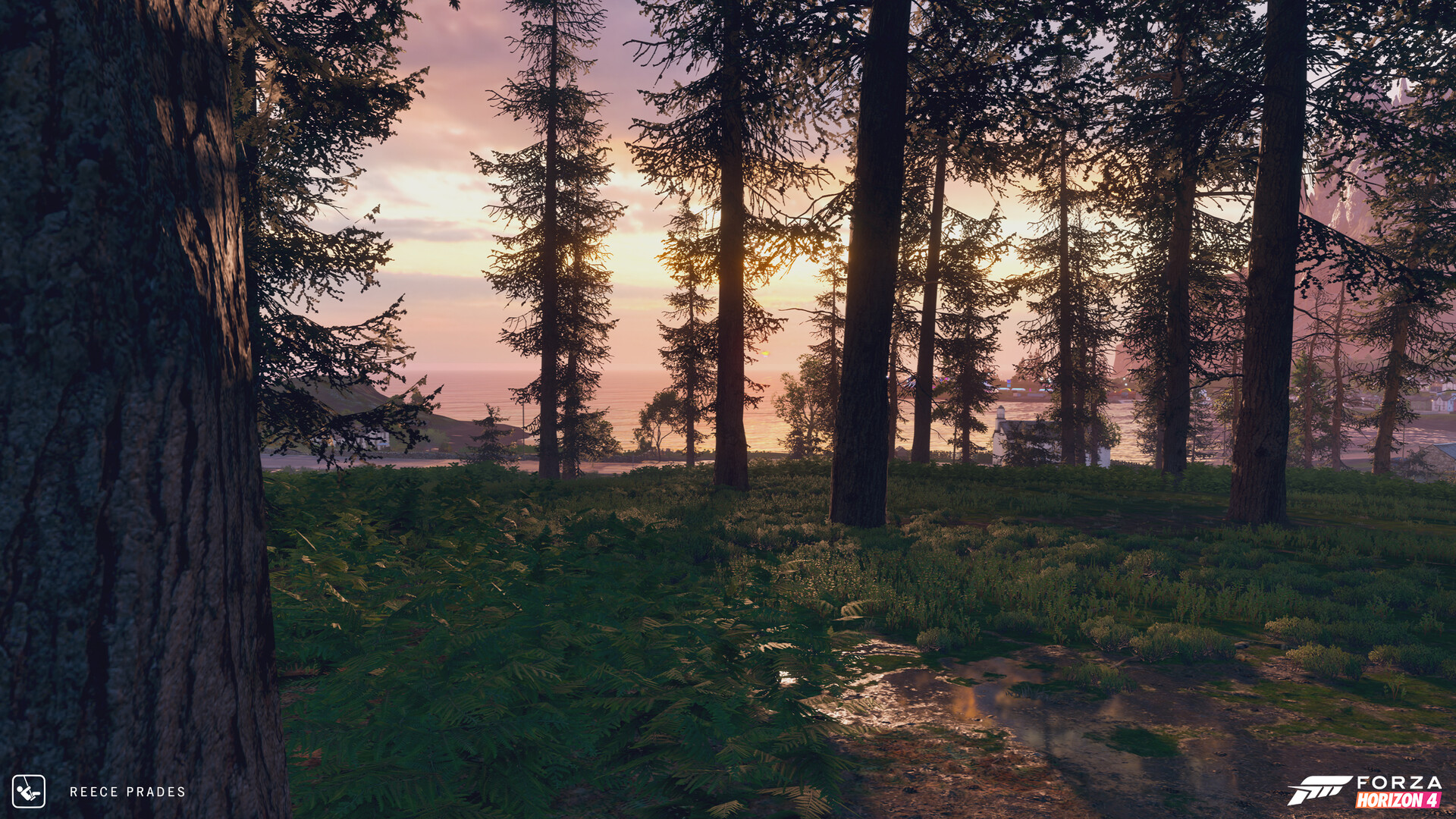 Artstation Forza Horizon 4 Ground Cover Reece Prades
