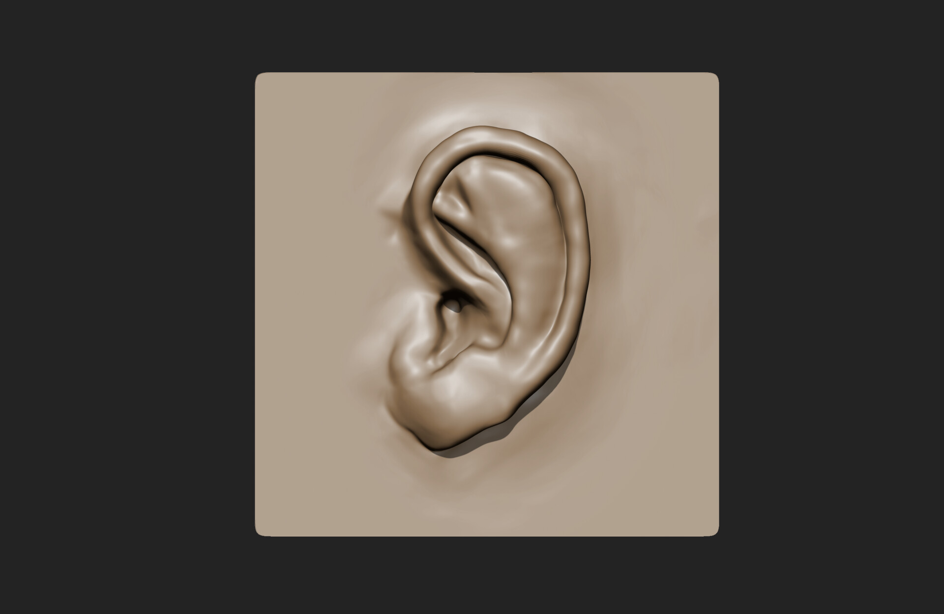 ArtStation ZBrush Ear